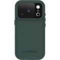 fre-iphc25-sagebrush-green-2.webp