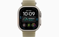 MK7M4_VW_PF+watch-case-49-titanium-natural-ultra4_VW_PF+watch-face-49-ultra4_VW_PF.jpg