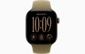 MJV94ref_VW_PF_NCE+watch-case-42-aluminum-darkbronze-cell-s12_VW_PF+watch-face-42-aluminum-darkbronze-s12_VW_PF.jpg