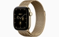 MJNK4_VW_34FR_NCE+watch-case-42-titanium-radiantgold-cell-s12_VW_34FR+watch-face-42-titanium-radiantgold-s12_VW_34FR.jpg