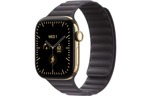 MKRJ4ref_VW_34FR_NCE+watch-case-42-titanium-radiantgold-cell-s12_VW_34FR+watch-face-42-titanium-radiantgold-s12_VW_34FR.jpg